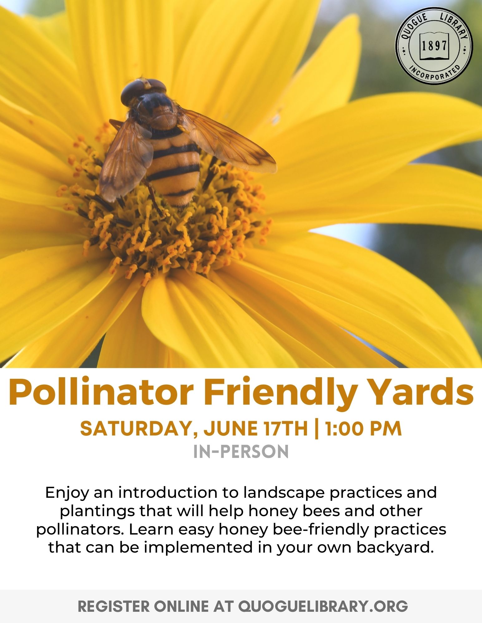 Pollinator Friendly Yards
