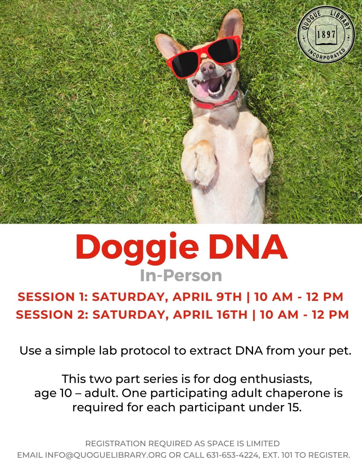 Doggie DNA (Session 1)